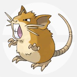 ラッタ