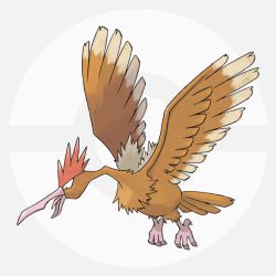 オニドリル