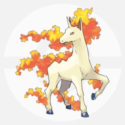 ギャロップ