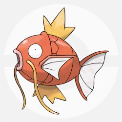 コイキング