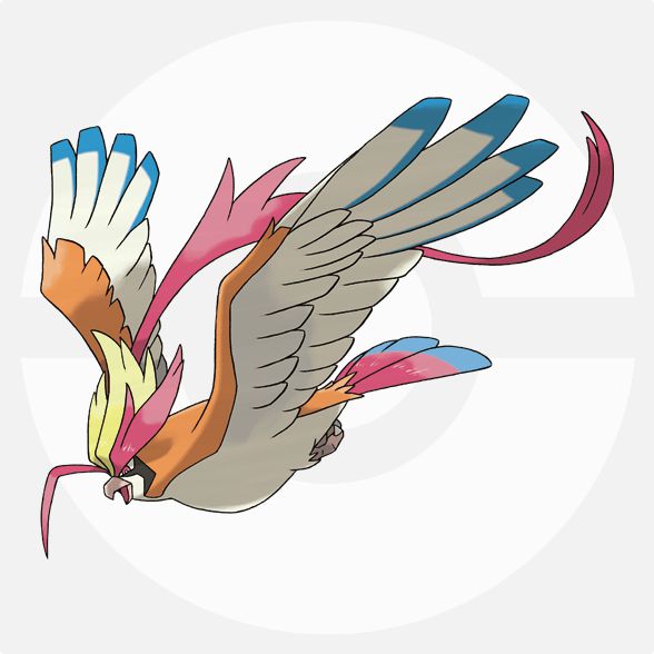 メガピジョット